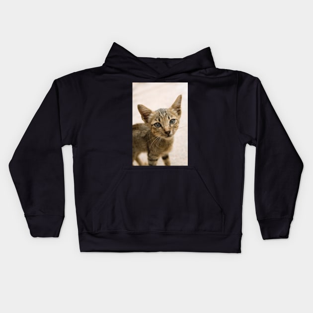 Tabby Kitten Kids Hoodie by Kat C.